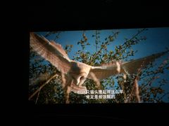 -南宁时代电影大世界(CGS激光中国巨幕)