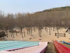 -西部长青自然儿童乐园