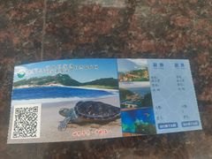 -广东惠东海龟国家级自然保护区