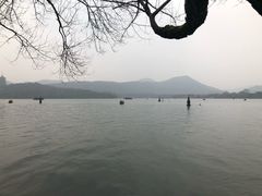 -西湖外事游船(花港观鱼码头)