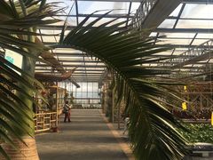 -陆地游轮吉林神农温泉