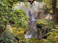 -Chom Cafe and Restaurant