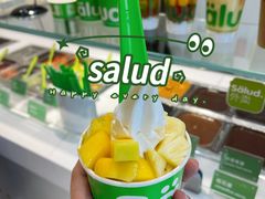 -Salud撒露欧洲冻酸奶(蓝色港湾店)