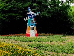 -上海共青森林公园