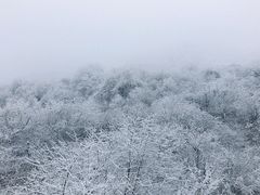 -太子岭滑雪场