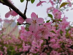 -白塘生态植物园