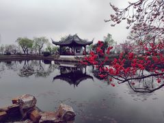 -无锡蠡湖国家湿地公园-蠡园