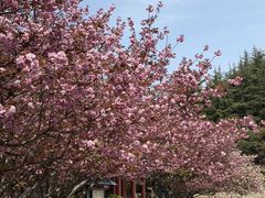 -石岛赤山风景区