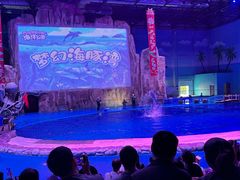 -华夏文旅海洋公园