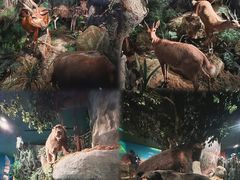 -深圳博物馆