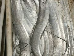 -吕四渔港码头海鲜餐厅