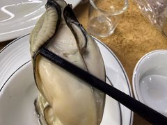 -濠轩阁特色生蚝火锅总店