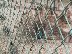 -南京金牛湖风景区