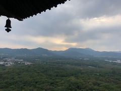 -宜兴龙背山森林公园