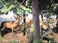 -陕西自然博物馆