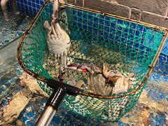 -小时候焗海鲜(鄞州万达店)