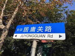 -八大关景区