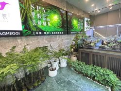 -阅年轻·AI家庭健康体质调理