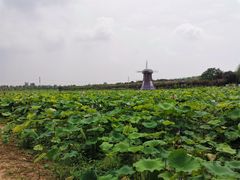 -武汉紫薇都市田园