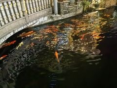 -新灿记大酒楼