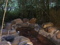 -咸宁温泉谷大酒店
