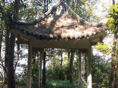 -缙云山景区