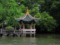 -江心屿景区