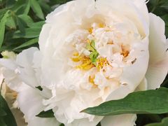 -苏州河梦清园环保主题公园