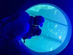 圣蓝海洋公园-北戴河圣蓝海洋公园