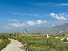 -敕勒川草原文化旅游区