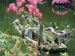 -深圳仙湖植物园