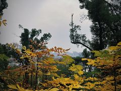 -喻家山