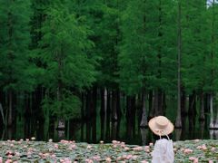 -白鹭湾湿地公园