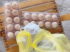 -马陆小张葡萄园农家乐