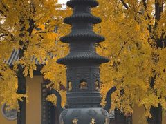 -上海青龙寺