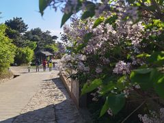 -云峰山自然风景区