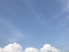 -大连凯洋马术俱乐部有限公司