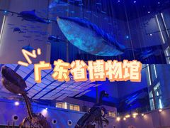 -广东省博物馆