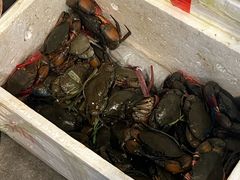 -瑞丽活螃蟹(芒市店)