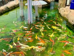 -欢乐水魔方水世界