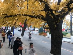 -辽东学院(南校区)