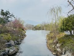 -雅达·阳羡溪山小镇中心