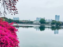 -东山湖公园
