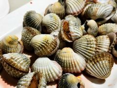 -华盛丰温州大排档(东三环南路店)