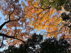 -狼山风景名胜区