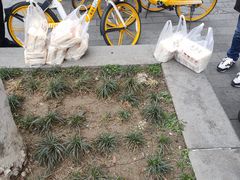 -五芳斋(中山大道总店)