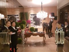 -苏浙总会(国金中心店)