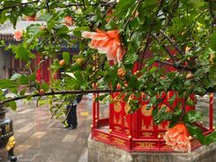 -西安市广仁寺