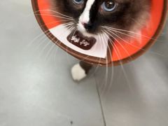 -贝来恩24H动物医院·转诊中心(稻香路店)