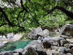 -石台牯牛降景区